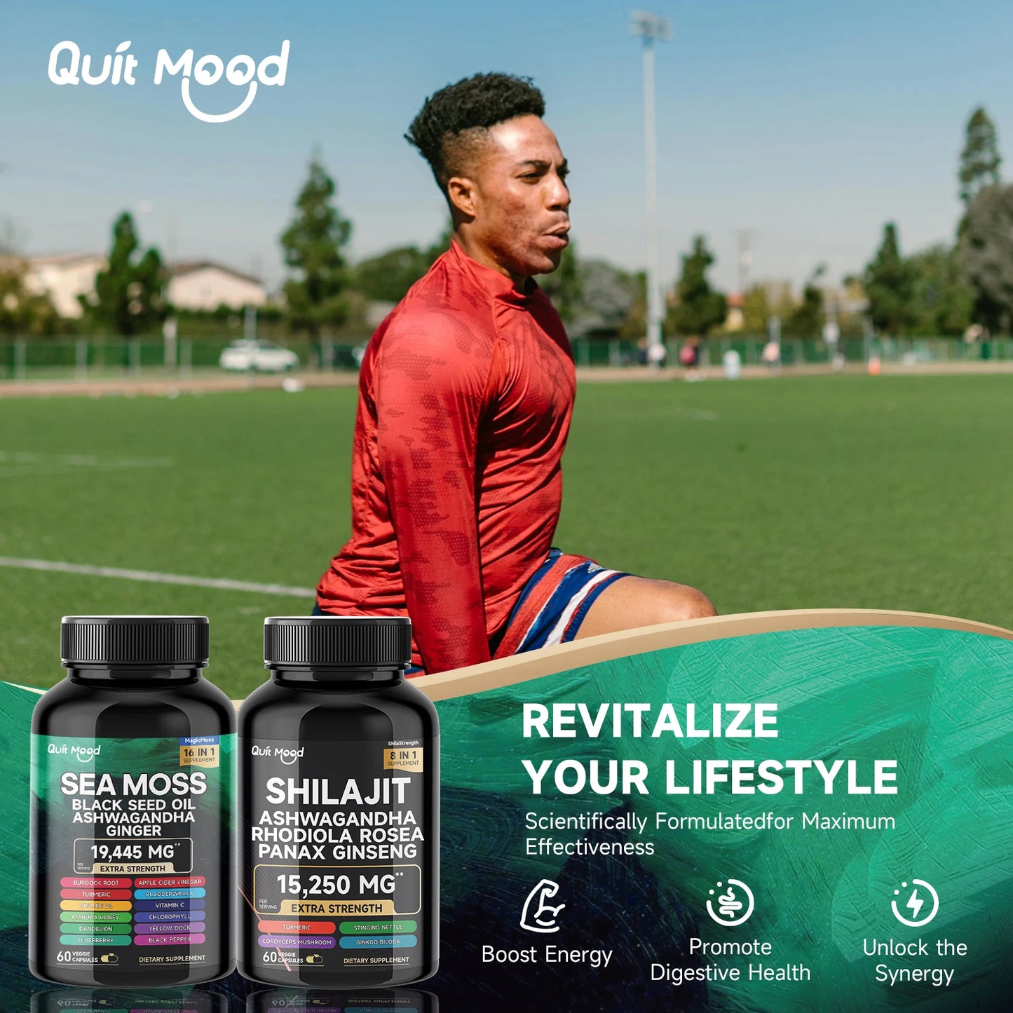 Quit Mood Sea Moss and Shilajit Bundle Capsule Supplement