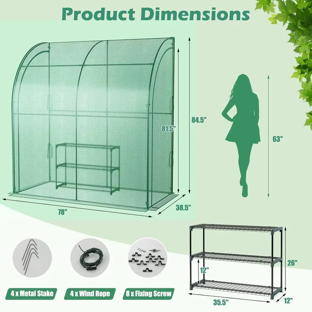 Compact 3-Tier Walk-in Greenhouse with Roll-up Door, Weatherproof Cover, Ideal for Indoor or Outdoor Gardening and Seedlings
